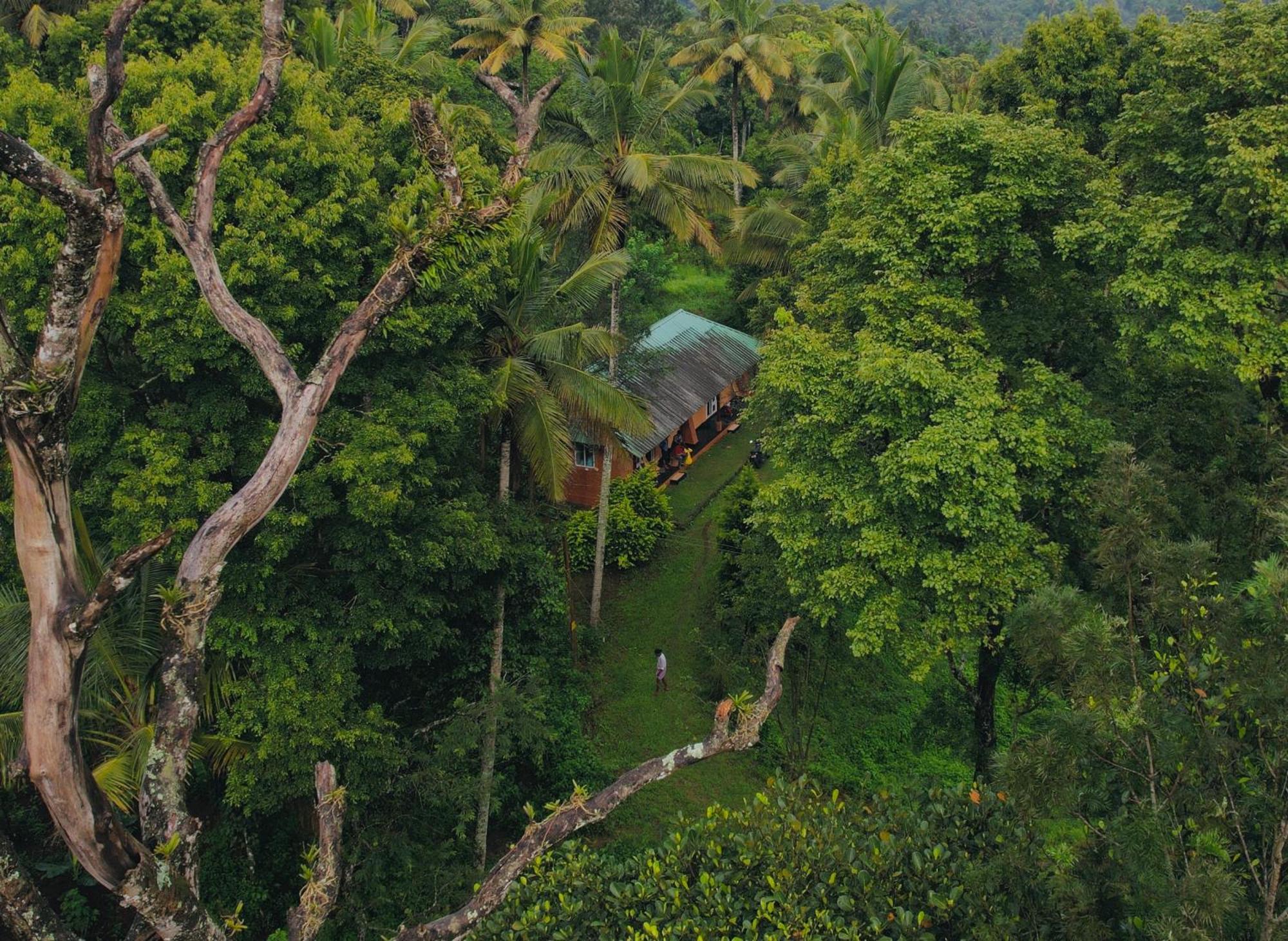 Punarjani Ayurvedic Resorts Ramakkalmedu Екстер'єр фото