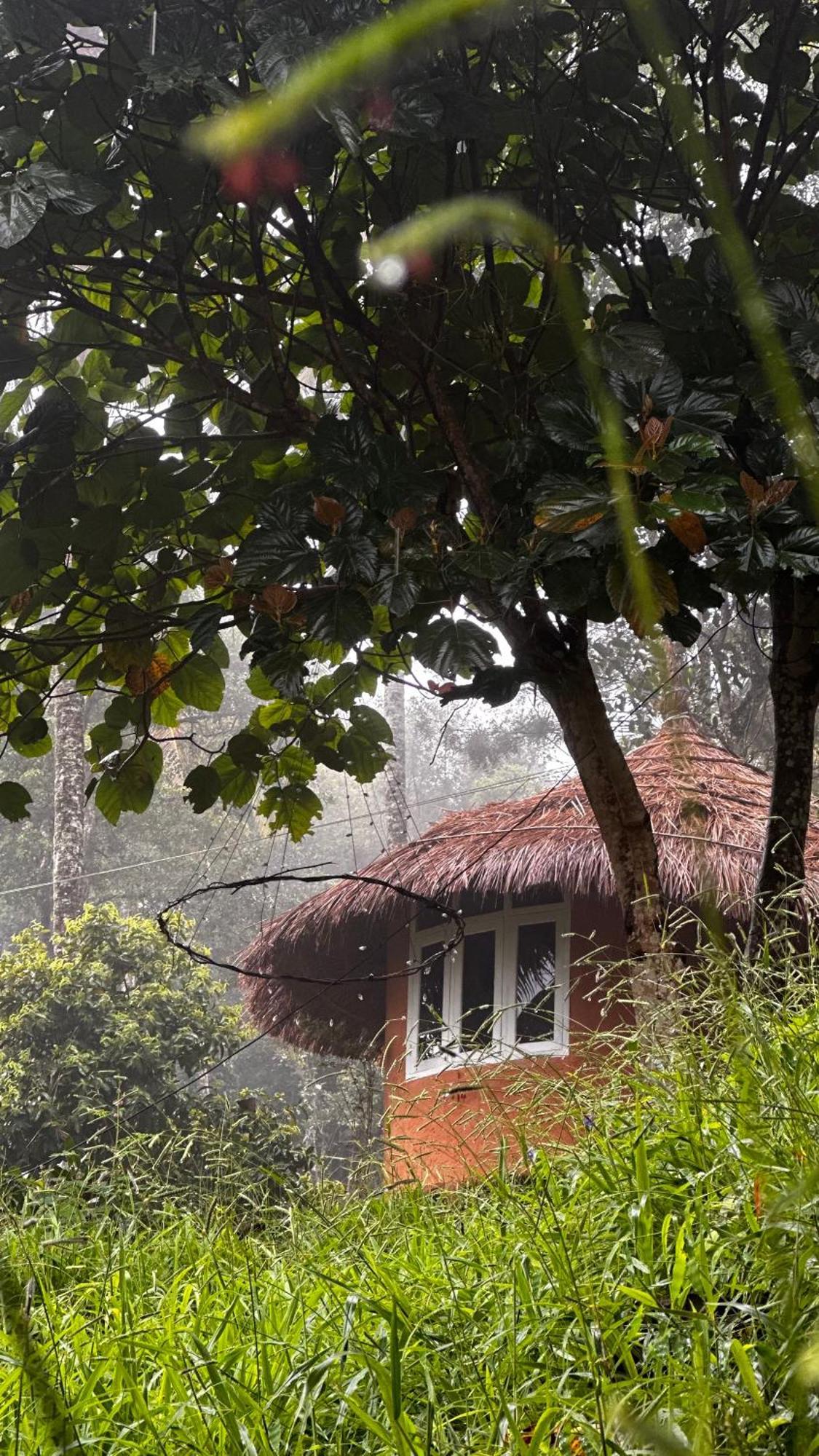 Punarjani Ayurvedic Resorts Ramakkalmedu Екстер'єр фото