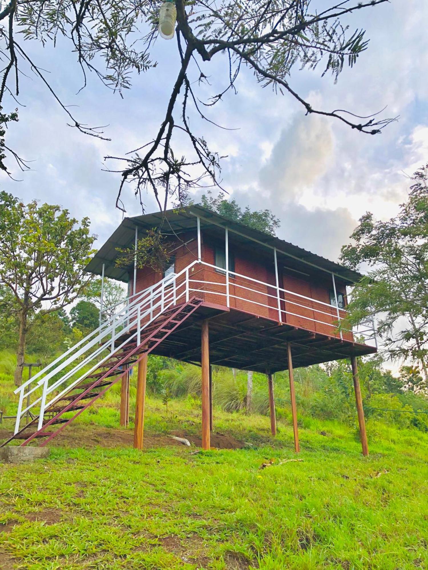 Punarjani Ayurvedic Resorts Ramakkalmedu Екстер'єр фото